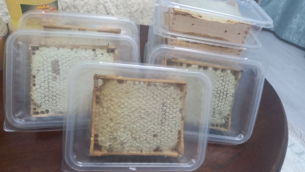 Мёд жантачный 3000тг