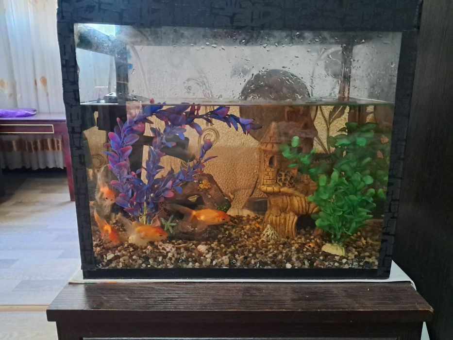 Продается аквариум вместе с рыбками