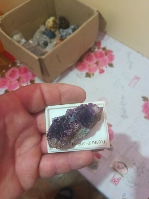 Flori de mina  din străinătate