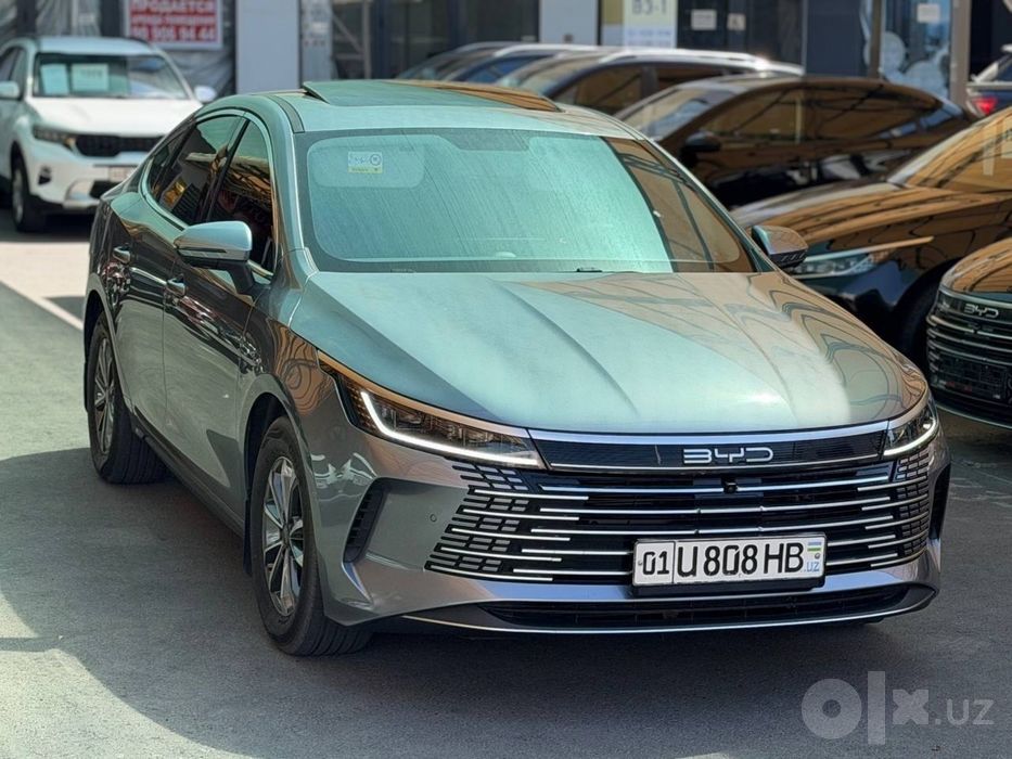 Byd Chazor 2026 2 lux pz