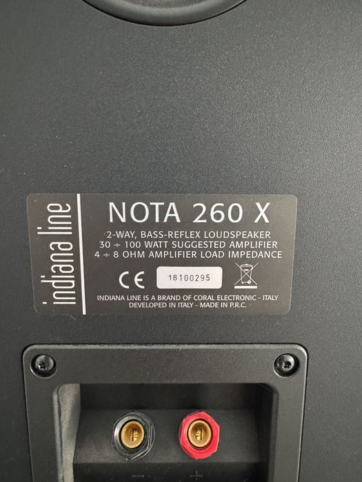 Boxe de raft + amplificator sony