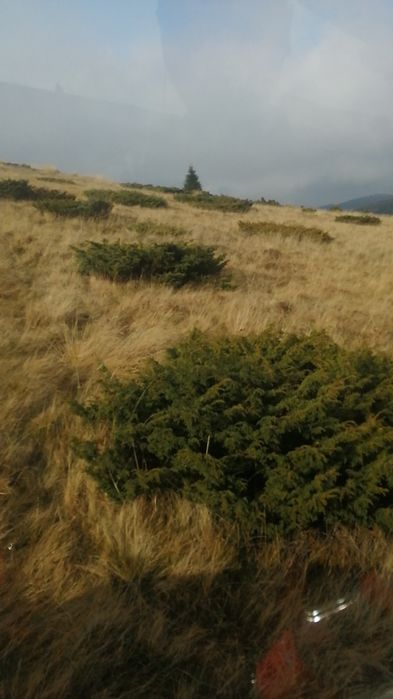 Curățări pasune, terenuri nelucrate