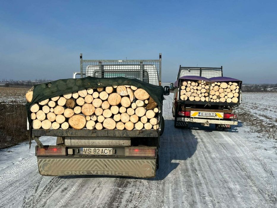 Vand lemne de foc taiate sau  la camion