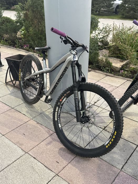 Dartmoor hornet pro