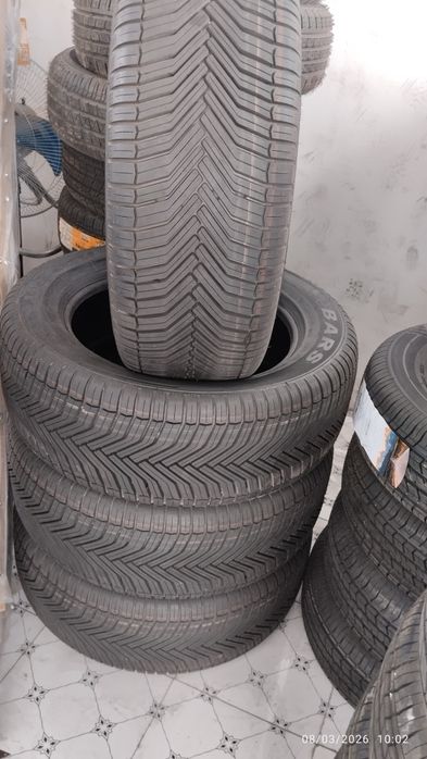 Bars balonlari 4ta fasl uchun