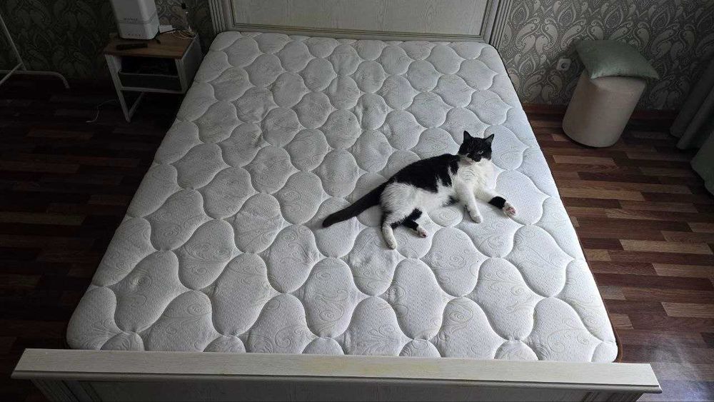 Продам Матрас 160*200 (без кота)