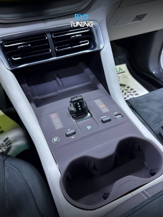 Byd champion smart panel selekon 3v1