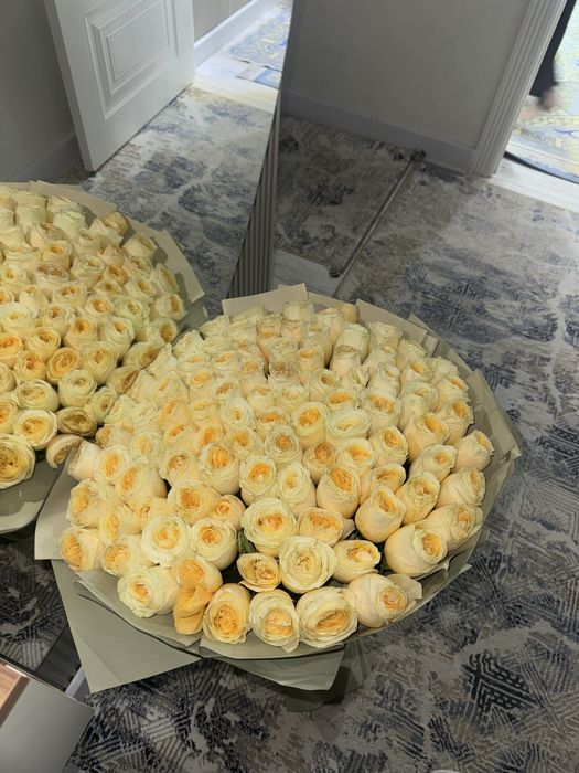 101 белый роза,казір алдым