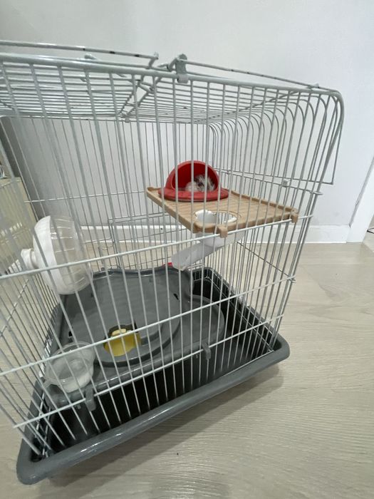 Хомяк с клеткой в 3 этажа