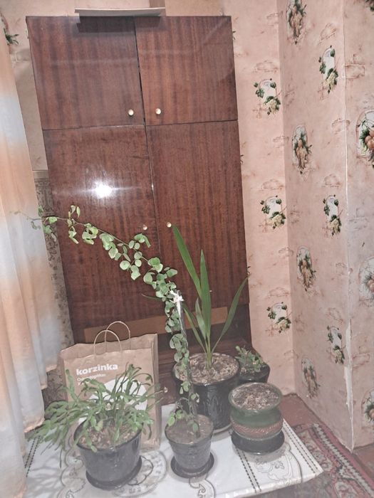 Аренда Квартира кора камиш 1/2 2 хона