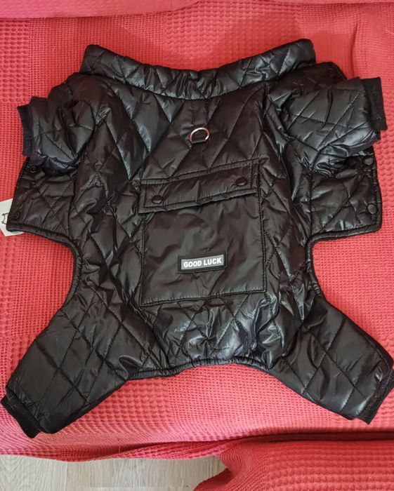 Одежда для собак