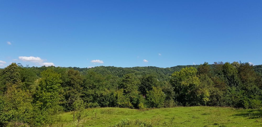 Teren intravilan Provita de jos(linga Breaza) PRAHOVA