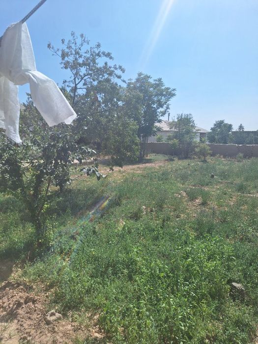 Sayfullayev sohib 11