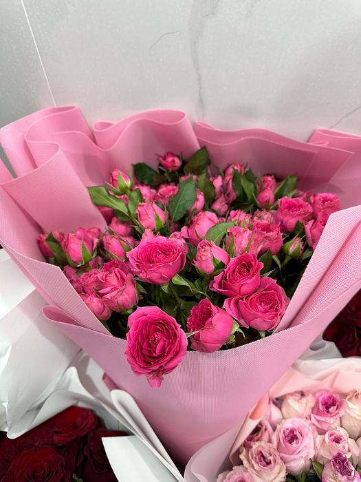 Продам цветы новые