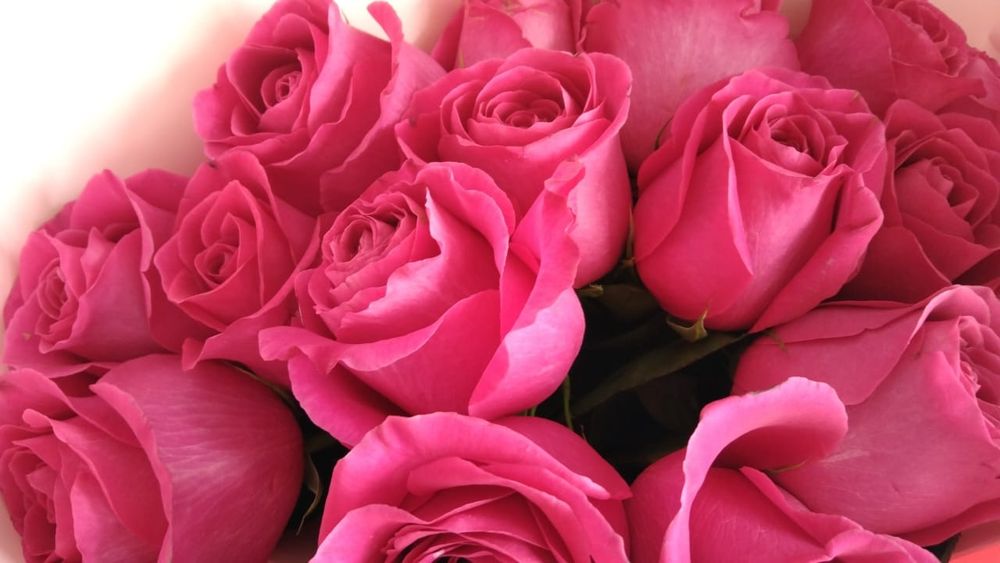 Продам цветы хорошем состоянии