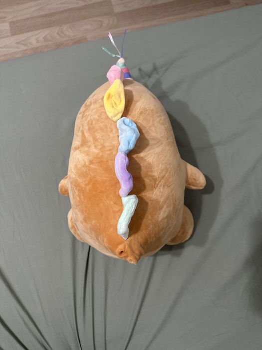 Plus cu paturica ascunsa