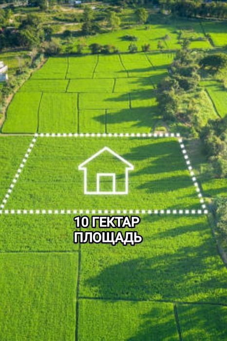 Новый Узбекистан Земля Продажа!