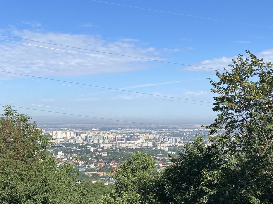 Участок на ремизовке