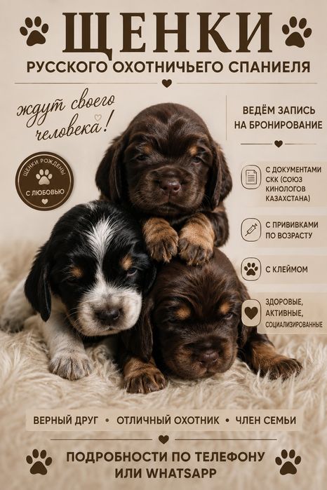 Щенки русского охотничьего спаниеля