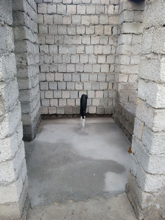 Срочно ер сотилади Чинозда