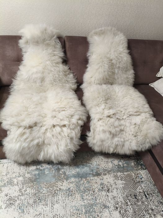 Чехлы автомобильные