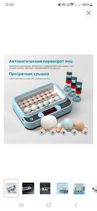 Инкубатор на 25 яиц