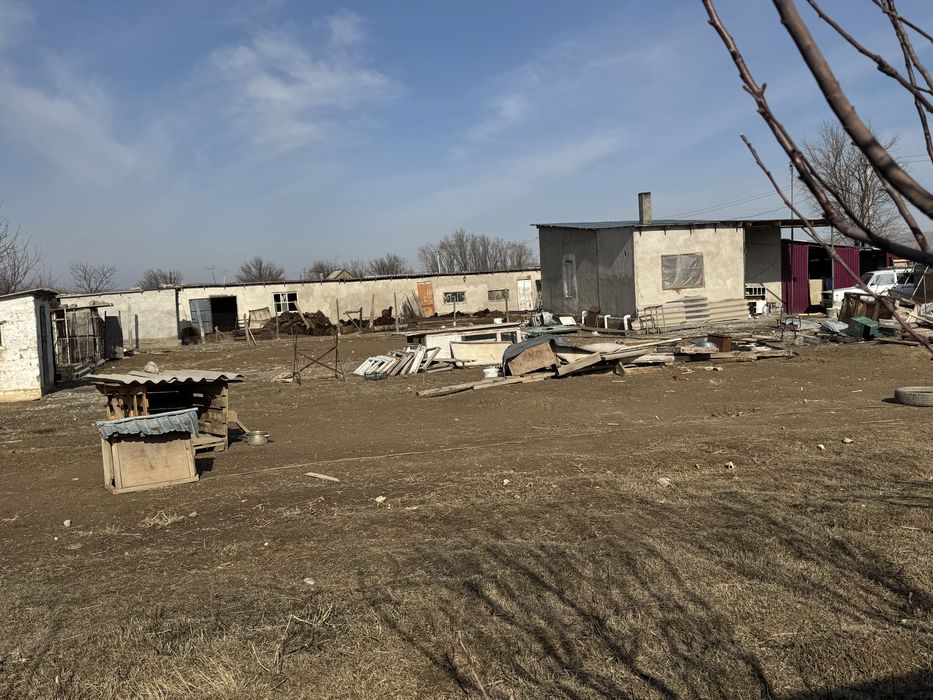 Дача Шоктас сатыдад корасымен су бар