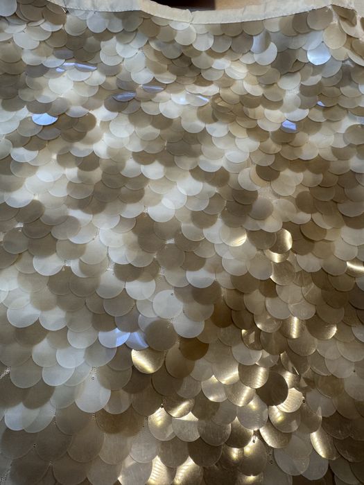 Юбка с пайедками