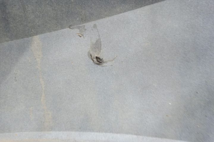 Bara spate break Skoda Superb 3  [din 2015 pana  2020] seria