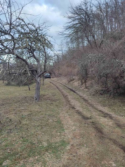 Парцел в Радомир
