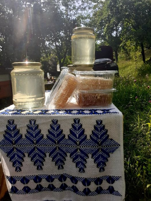 Miere de salcam 2024