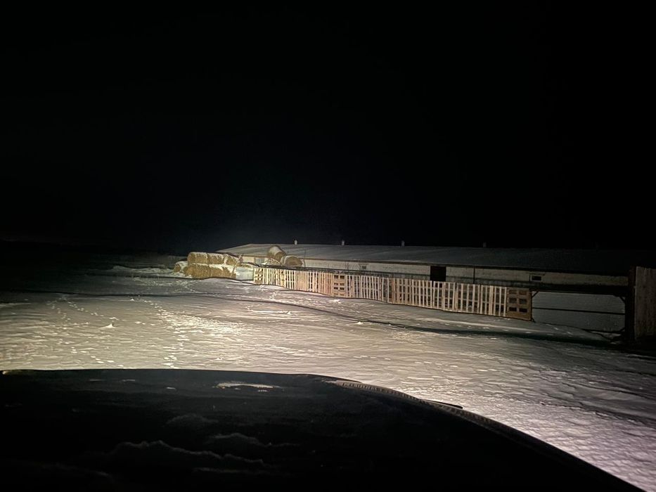 Хозяйства сатылады