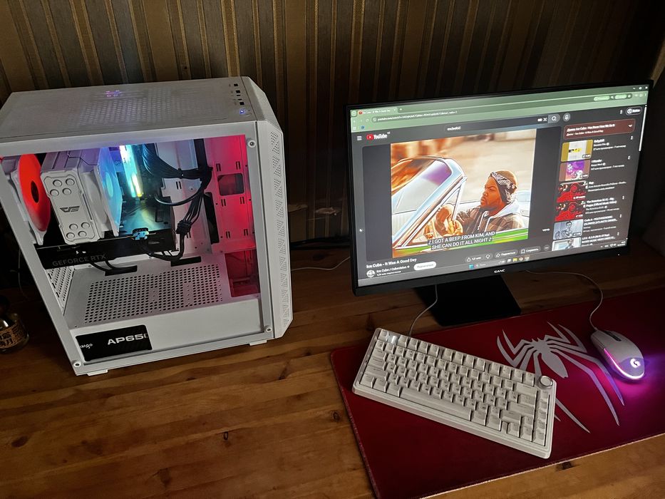 Монитор 24.5" Sanc M2563VTB 300Hz