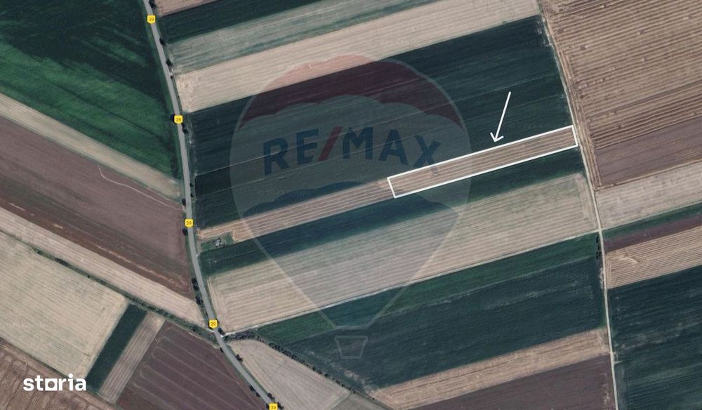Teren extravilan 2 parcele de 9.750 mp - Satul Nou, comuna Hălchiu