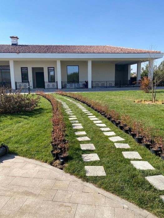 ОЗЕЛЕНЕНИЕ Профессионально