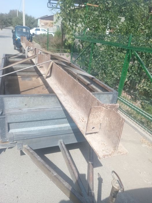 Двухтавр шивиллер