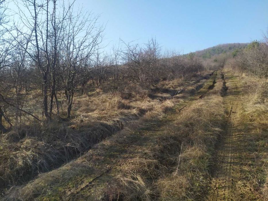 Продава се Земеделски имот в с. Войнежа, Област Велико Търново -  кв.м за 738 €/дка - Снимка #6