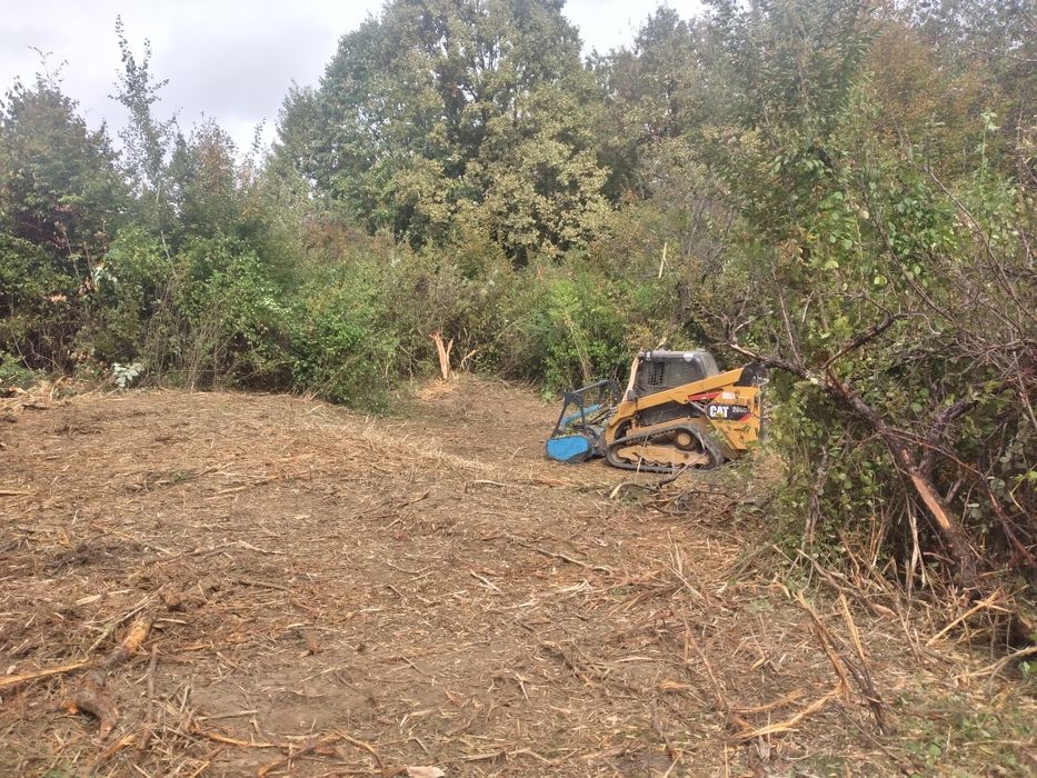 curățare teren defrisari tocator forestier burghiu pământ freză cioate