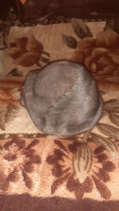 Продам шапки норковые