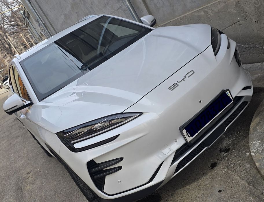 BYD Champion 2023 Arenda bor