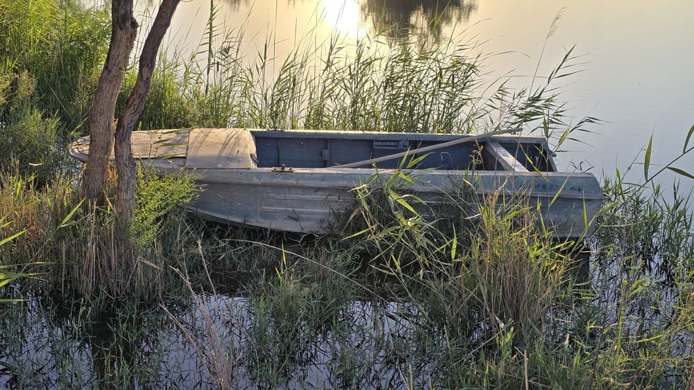 Qayiq. Xolati ajoyib