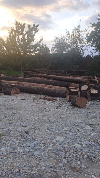 Lemn stejar construcții