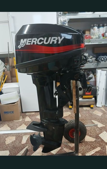 Barca Rib cu motor Mercury 15cp