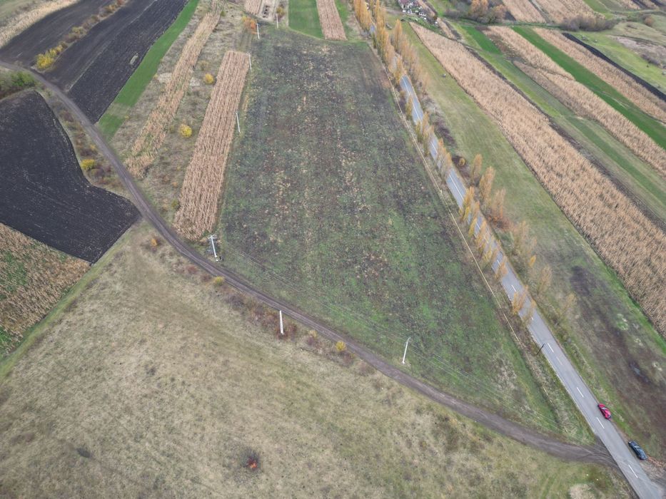 Vând 25.000 mp teren pentru hale in Tureni