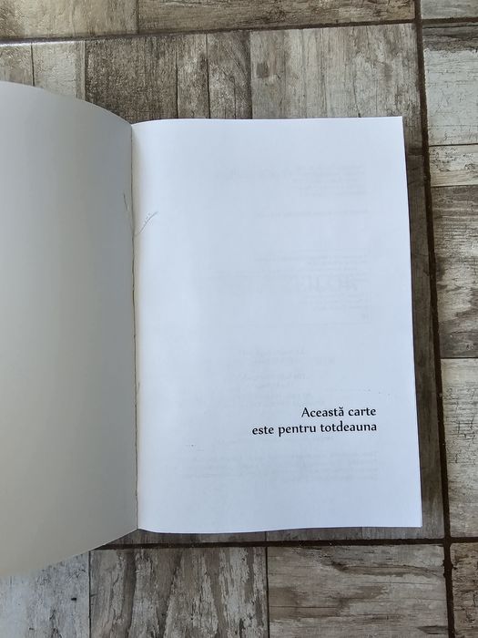 Scoala zeilor - Stefano Elio D'Anna