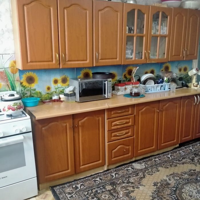 Продам дом  село Петровка