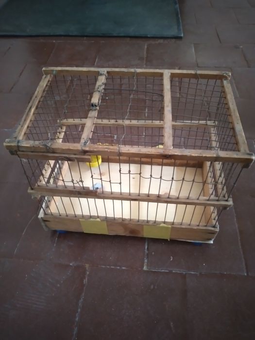 К,афас ( Клетка ) сотилади