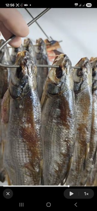 Рыба Рыбец вяленная