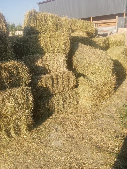 Шоп сатылады жоныршка