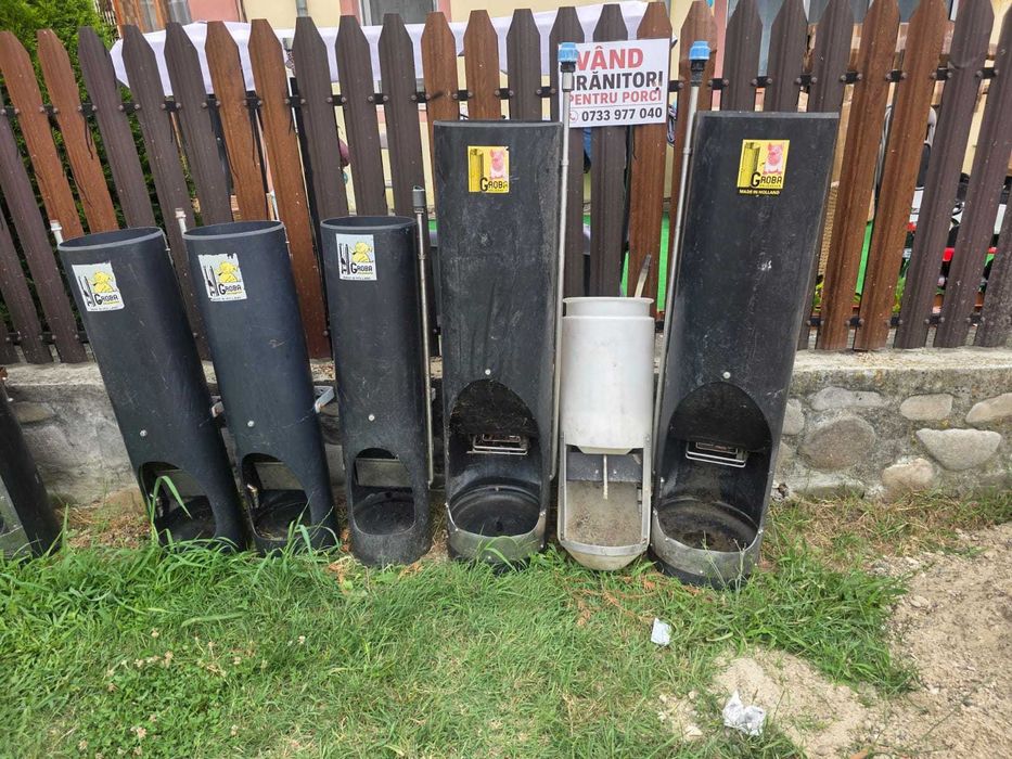 Hrănitoare Porci
